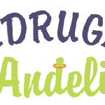 Udruga Anđeli