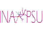 SINAPSUS, vl. Dora Marinić